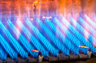 Bainshole gas fired boilers